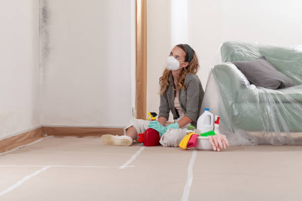 Reliable Mold Cleanup contractor in Ferndale, WA by WQB Mold Removal